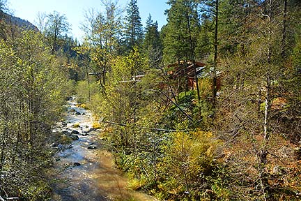 Forest Houses, November 2015